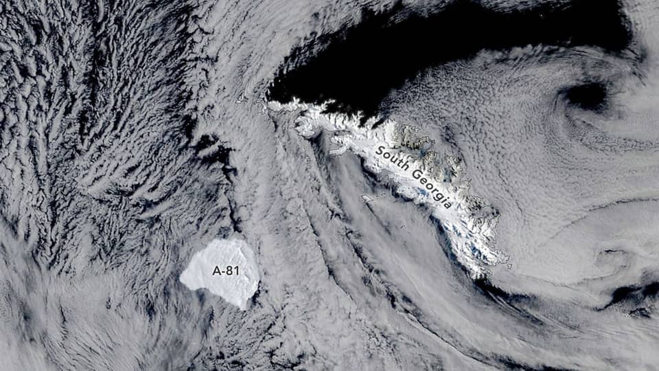 NASA Terra Satellite Captures Antarctic Iceberg A-81 Near South Georgia